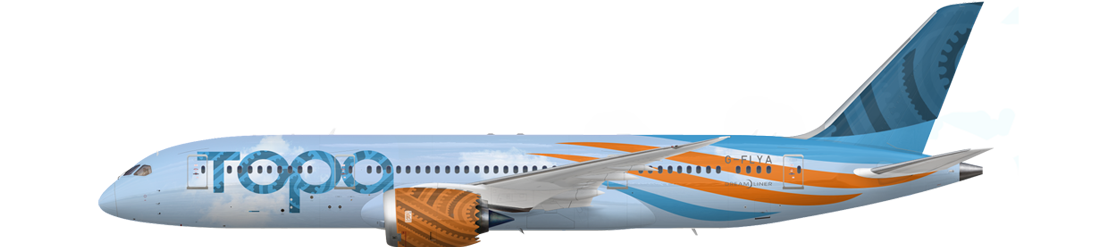 Boeing 787-8